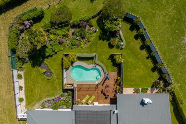 36 Rose Street Springlands_3