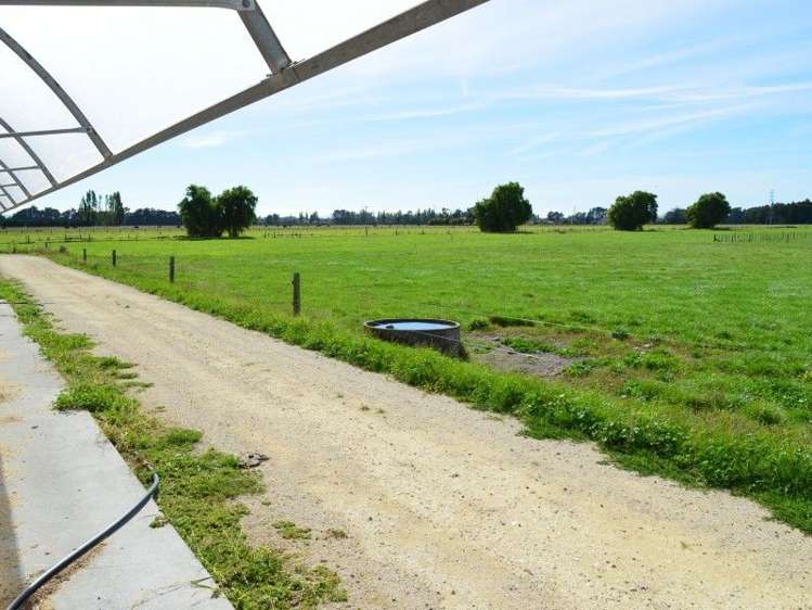 233a Papawai Road Greytown_21