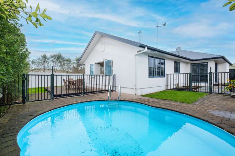 55 Palmbrook Avenue Havelock North_16