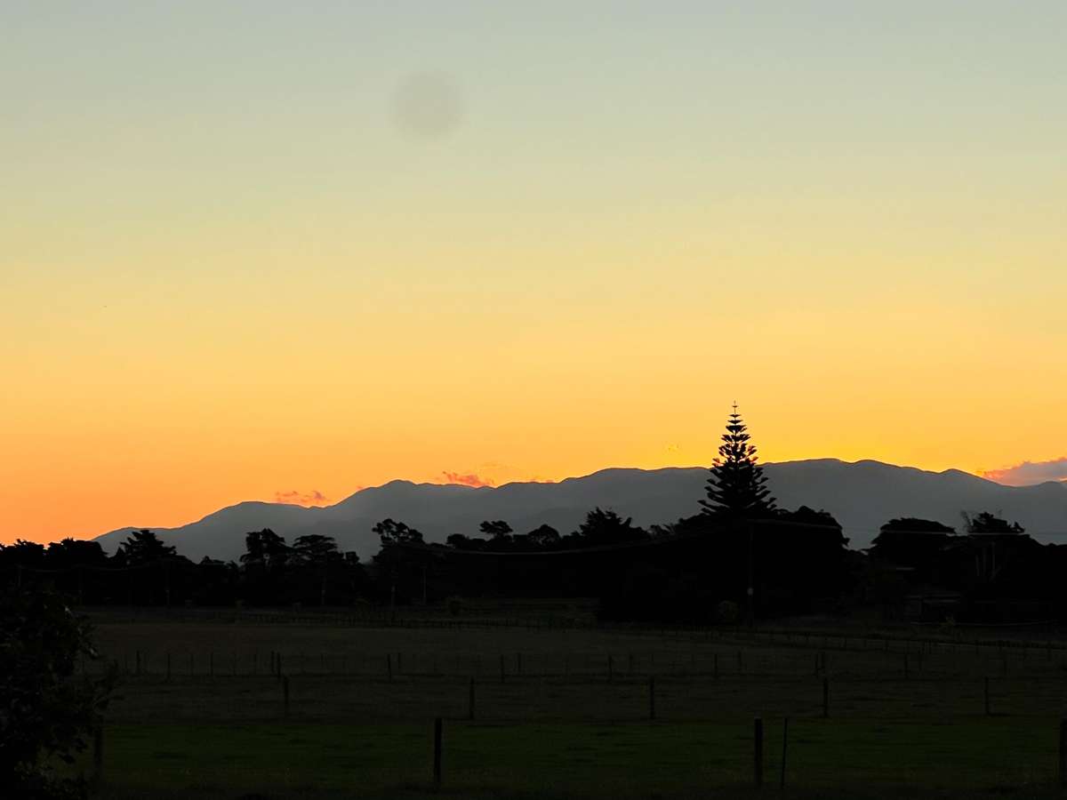 155 and 157 Te Maire Road_5