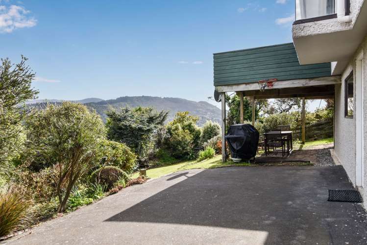 207 Larnach Road Waverley_31