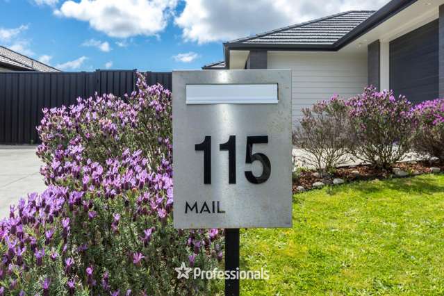 115 Mawai Hakona Drive Wallaceville_2