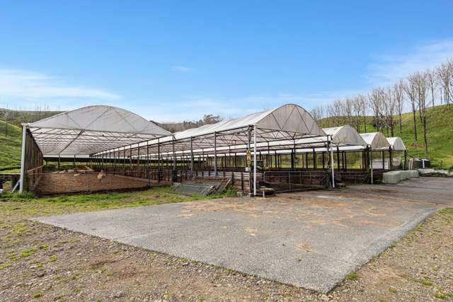 878 Russell Road Whakapara_3