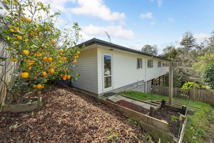 46b Roick Parade Glen Eden_19