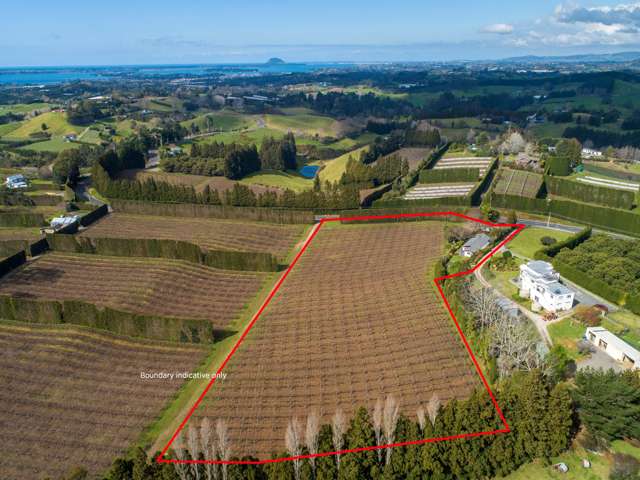 334 Esdaile Road Whakamarama_2