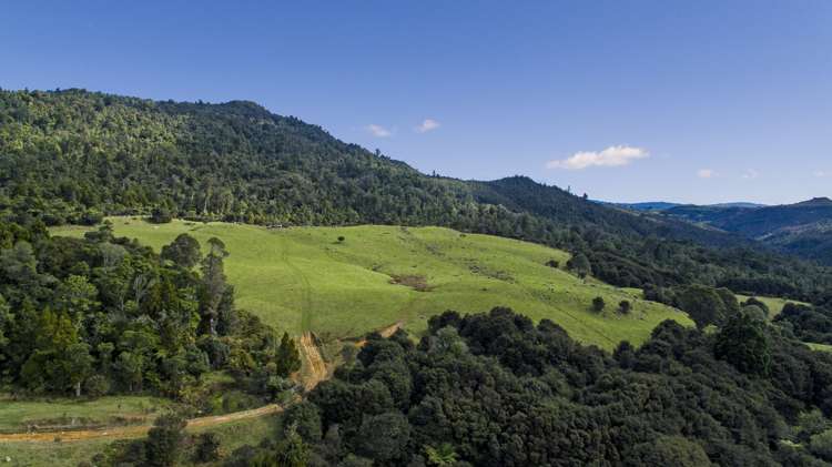 850 Rangihau Road Coroglen_6