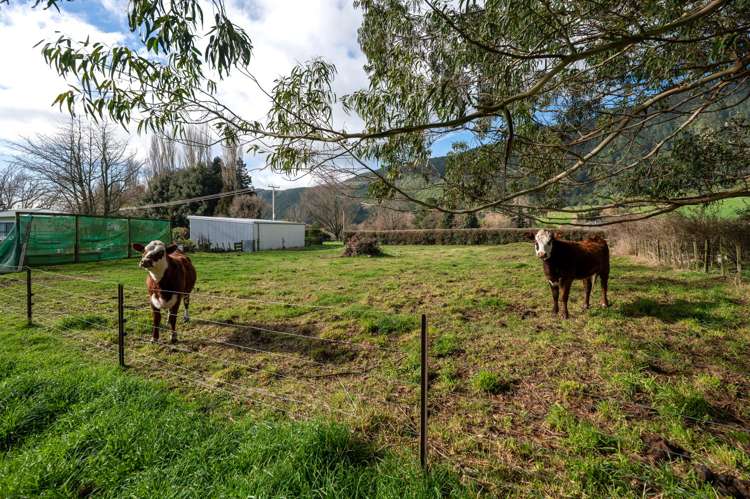 236 Te Kopia Road Waikite Valley_27