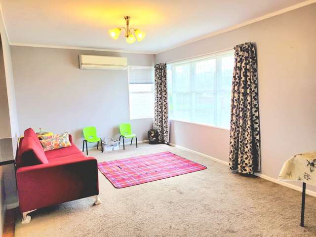 69 Webster Avenue Mount Roskill_3