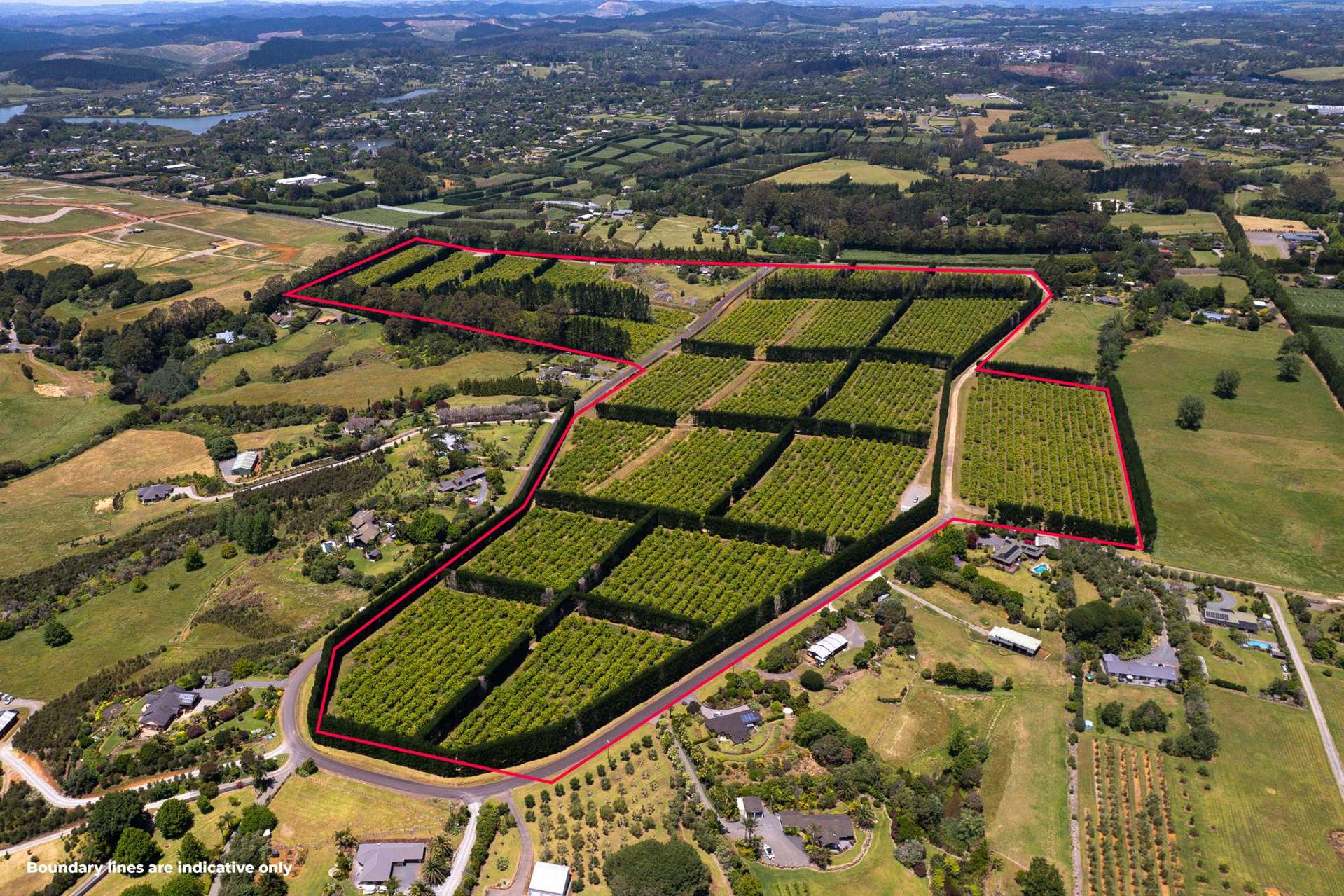 409 Kapiro Road Kerikeri_0