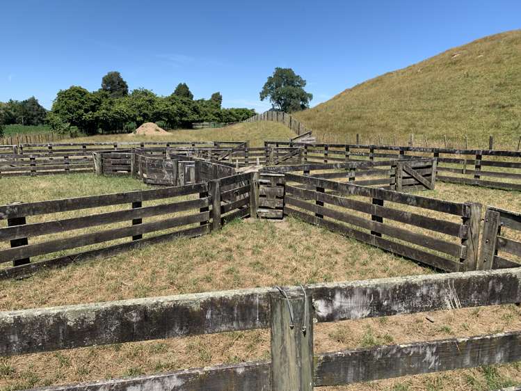 1246 State Highway 3 Te Kuiti_15