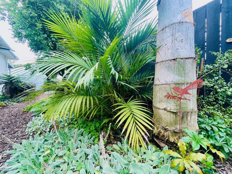 65b Dunlop Road Te Puke_24