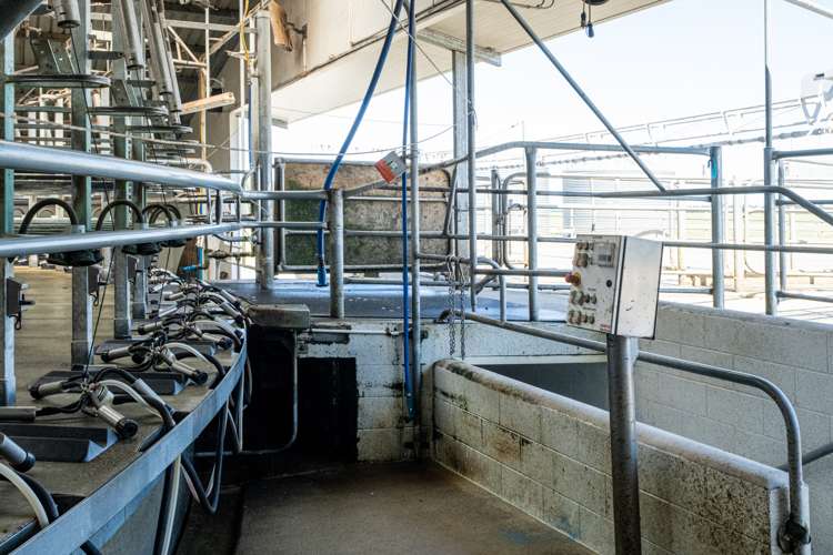 311 Knyvetts Road Southbridge_7