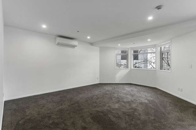 3g/205 Hobson Street Auckland Central_1