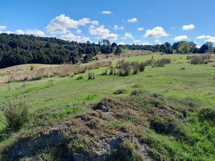 660 Waimate North Road Kerikeri_4