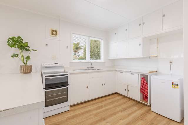 918A Nelson Street Mahora_2