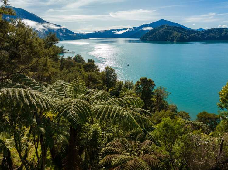 Lot 11 Whatanihi Bay Pelorus Sound_16