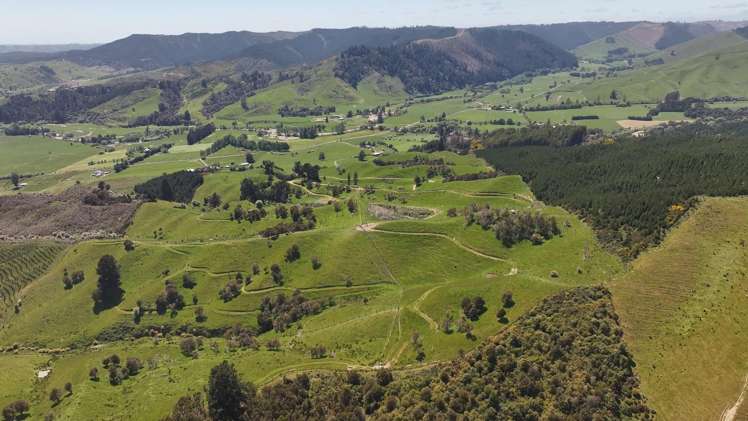 162 Upper Stanley Brook Stanley Brook_14