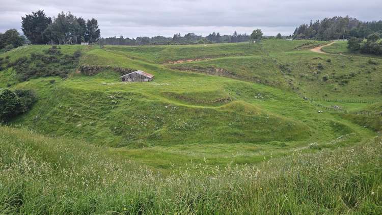 86A Glue Pot Road Oropi_21