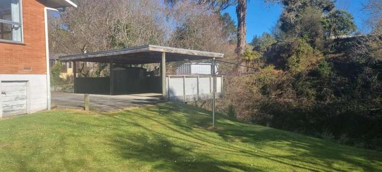 15B Windsor Street Springfield_16