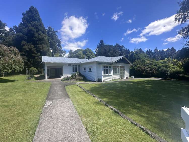 4883 State Highway 2 Putorino_15