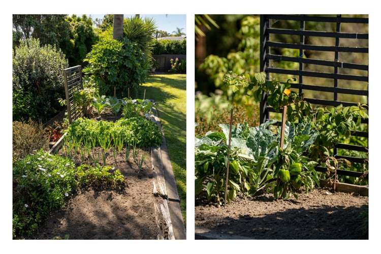 196 Hollister Lane Ohauiti_34