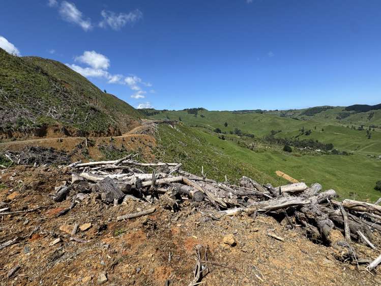 Lot 4 Brown Road Kawhia_13