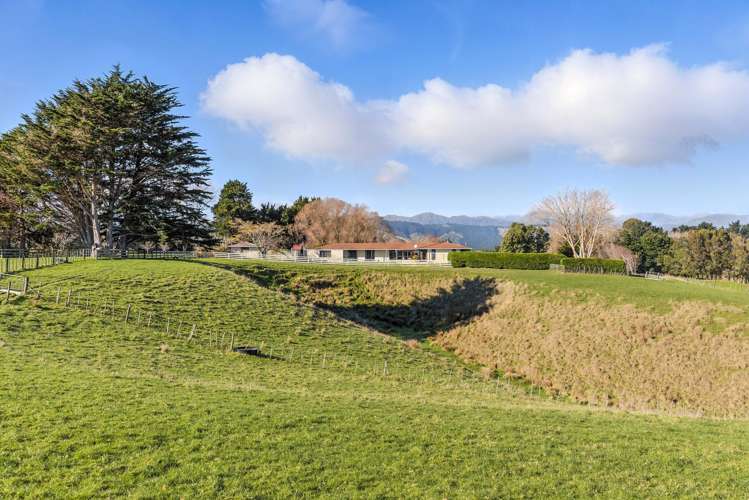 39A The Avenue Levin_25