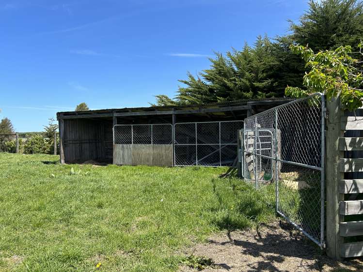 85 Leeston Dunsandel Road Leeston_13