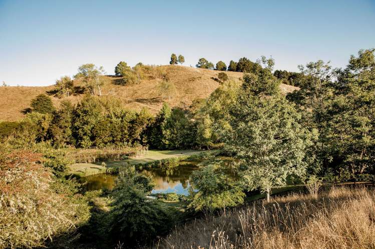 186 Twilight Road Clevedon_30