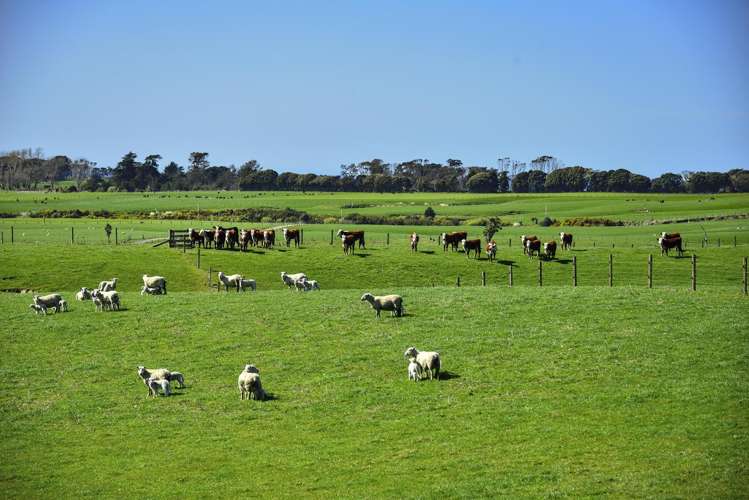 790 Mahia East Coast Road Māhia_12