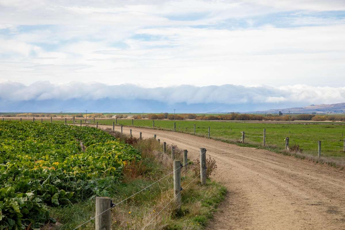 263 Puketoi Runs Road_2