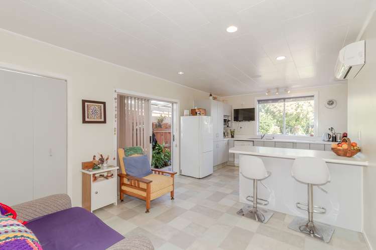 74 Mcdonald Street Napier South_6