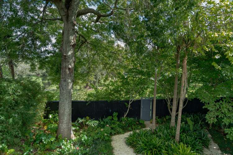 13 Dexter Avenue Mount Eden_19