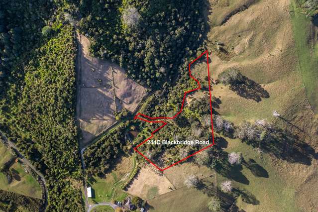244C Blackbridge Road Dairy Flat_1