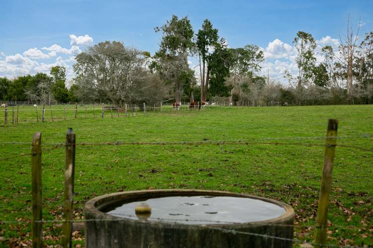 1507 Tauwhare Road Eureka_19