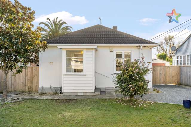 133 Waddington Drive Naenae_1