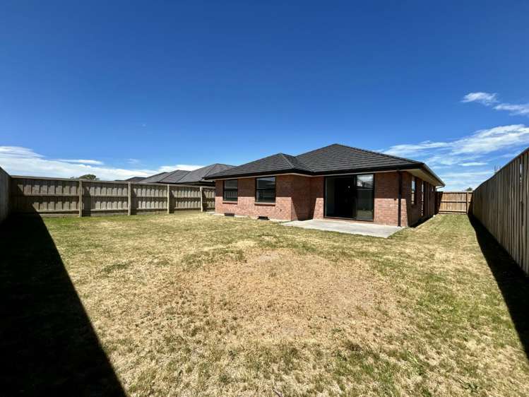 14 Eileen Way 11103_18