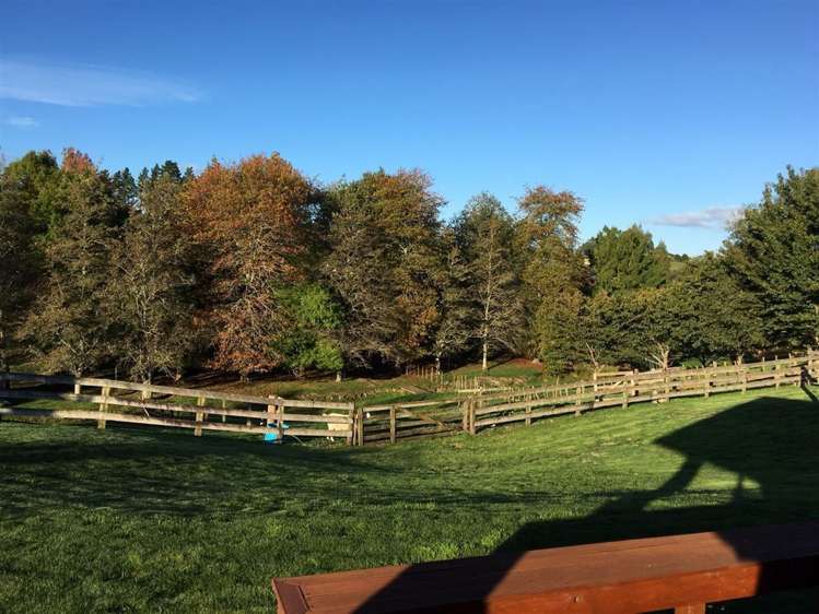 8b Morgan Rise Whatawhata_23