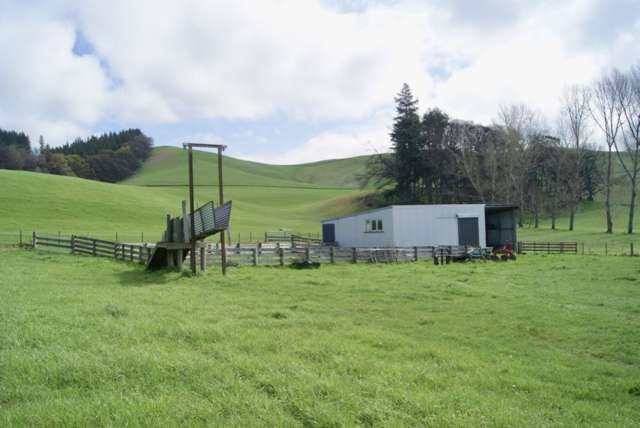 915 Palmerston-Waikouaiti Road Palmerston_2