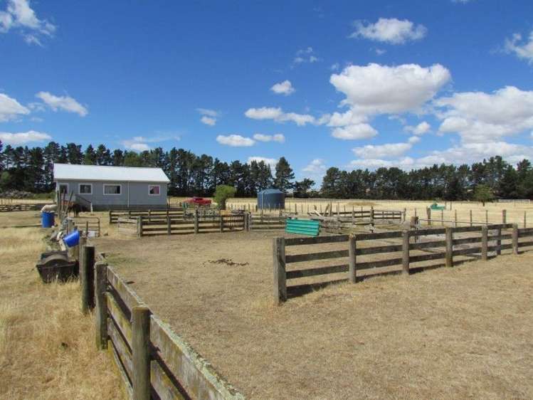 1573 Tikokino Road Tikokino_7