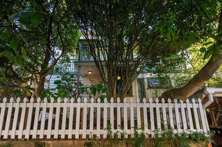 29 Alexander Street Kingsland_21