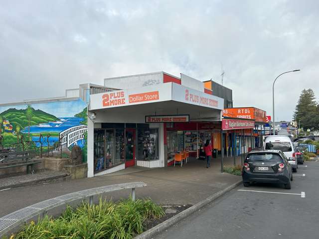 39 Bow Street Raglan_1