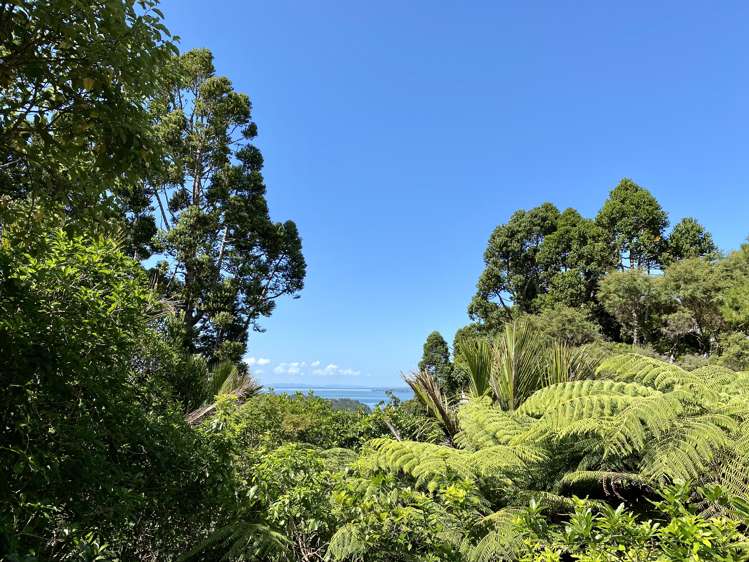 16 Manuka Road Titirangi_29