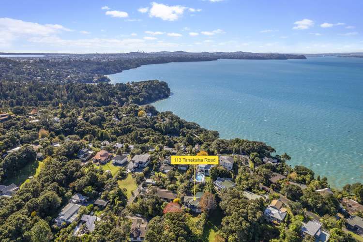 113 Tanekaha Road Titirangi_22