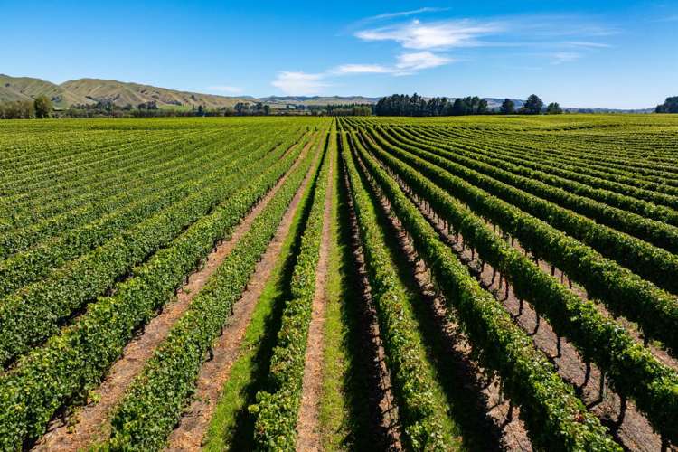 Seaview Road Seddon_6