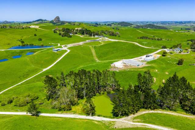 206ha dairy farm with scale and scope