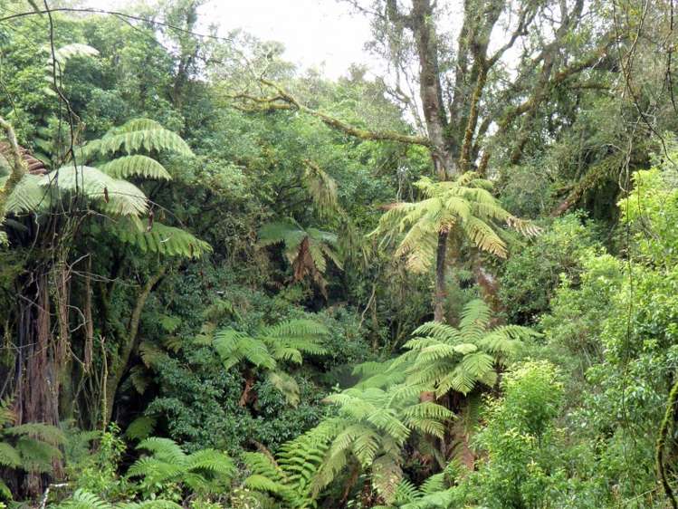 1278 Poihipi Road Oruanui_12