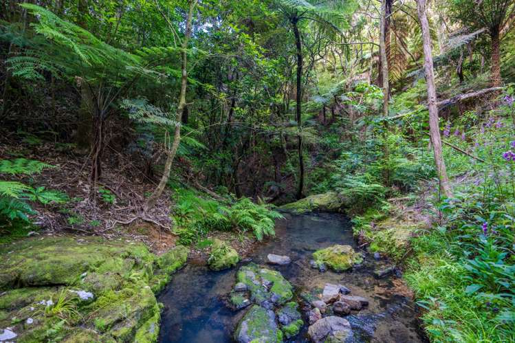 849 Owhiwa Road Parua Bay_29