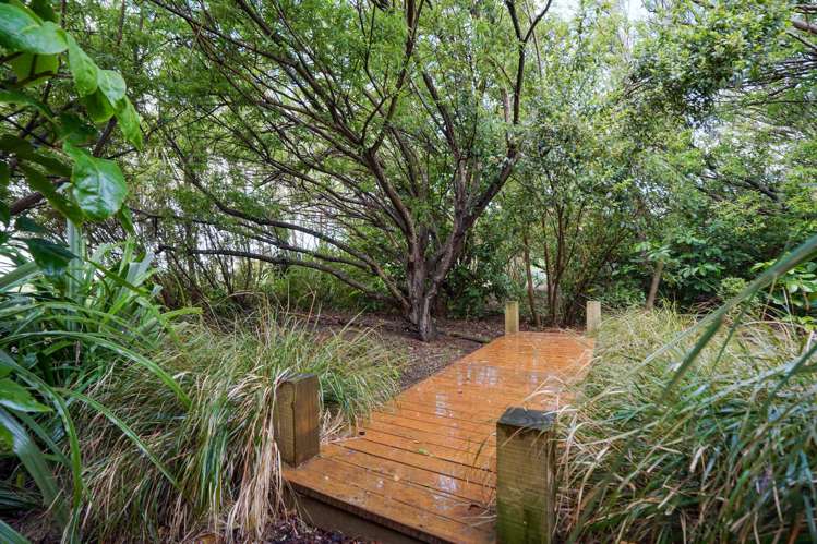 9 Evelyn Street Riverton_17