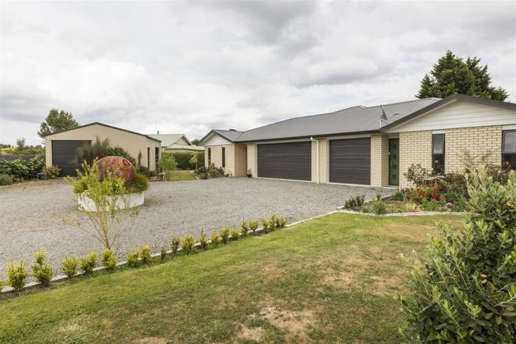 15d Aitken Street Bulls_1